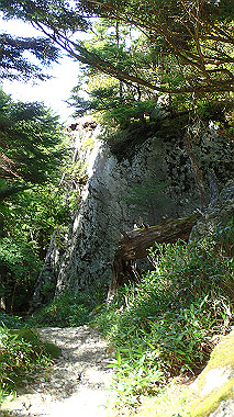 p7241128_thumb.jpg