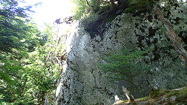p7241129_thumb.jpg