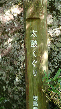 p7241133_thumb.jpg