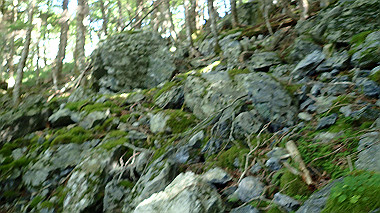 p7241138_thumb.jpg