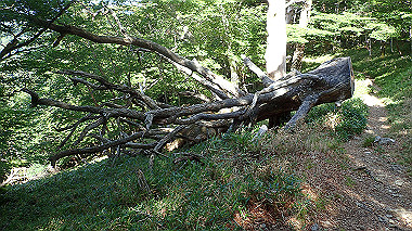 p7241139_thumb.jpg