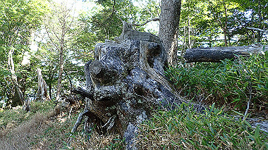 p7241140_thumb.jpg