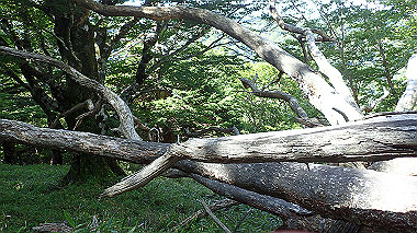 p7241141_thumb.jpg