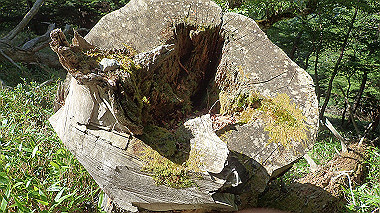 p7241142_thumb.jpg