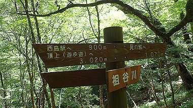 p7241143_thumb.jpg