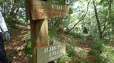 p7241144_thumb.jpg
