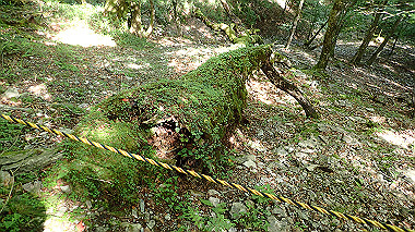 p7241146_thumb.jpg
