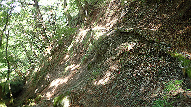 p7241151_thumb.jpg