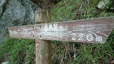 p7241152_thumb.jpg