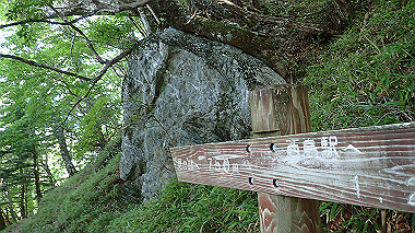 p7241153_thumb.jpg