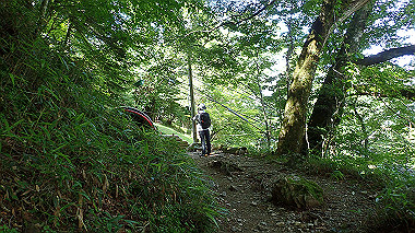 p7241162_thumb.jpg