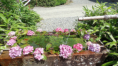 p7241182_thumb.jpg