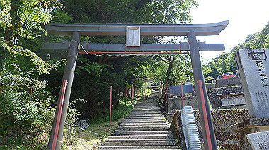 p7241187_thumb.jpg