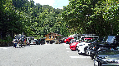 p7241190_thumb.jpg