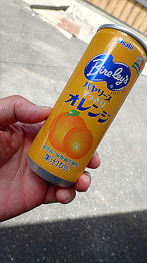 p7241192_thumb.jpg