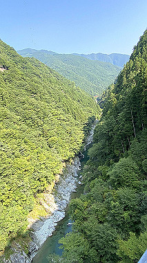 2022-07-25_08-39-35_645_thumb.jpg