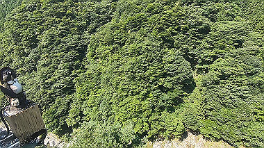 gx016900.mp4_snapshot_00.38_thumb.jpg