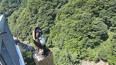 gx016900.mp4_snapshot_00.44_thumb.jpg
