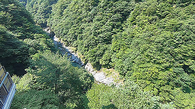 gx016900.mp4_snapshot_01.01_thumb.jpg