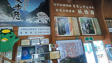 gx016902.mp4_snapshot_00.17_thumb.jpg