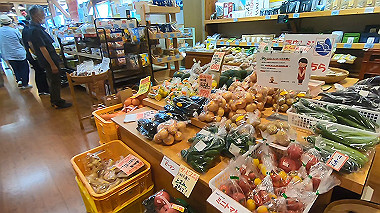 gx016902.mp4_snapshot_01.11_thumb.jpg
