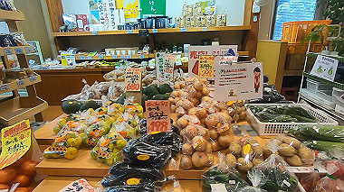 gx016902.mp4_snapshot_01.14_thumb.jpg
