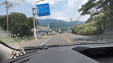 gx016905.mp4_snapshot_00.48_thumb.jpg