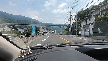 gx016905.mp4_snapshot_00.58_thumb.jpg