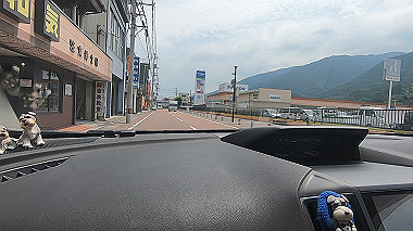 gx016906.mp4_snapshot_00.43_thumb.jpg