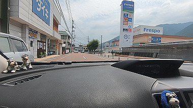 gx016906.mp4_snapshot_00.52_thumb.jpg