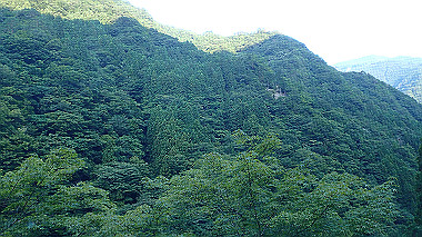 p7251212_thumb.jpg