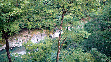 p7251215_thumb.jpg