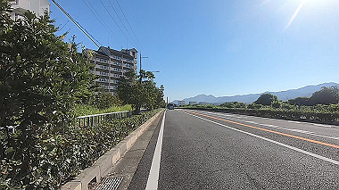 gx016907.mp4_snapshot_00.19_thumb.jpg