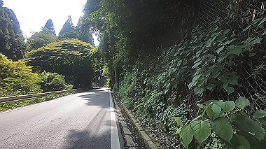 gx016913.mp4_snapshot_03.38_thumb.jpg