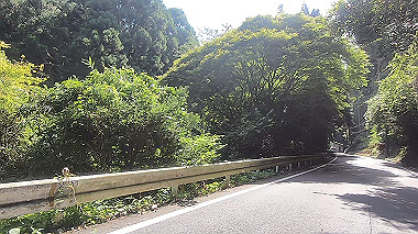 gx016913.mp4_snapshot_03.49_thumb.jpg