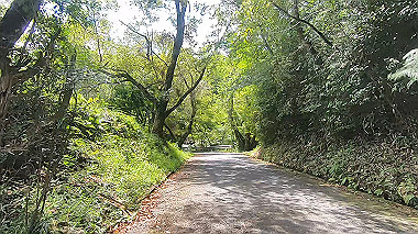 gx016930.mp4_snapshot_00.00_thumb.jpg