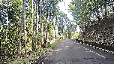 gx016930.mp4_snapshot_01.26_thumb.jpg