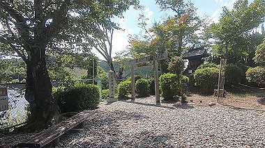 gx016931.mp4_snapshot_00.00_thumb.jpg