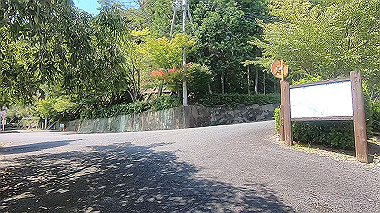 gx016931.mp4_snapshot_00.10_thumb.jpg