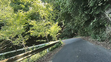 gx016932.mp4_snapshot_02.35_thumb.jpg