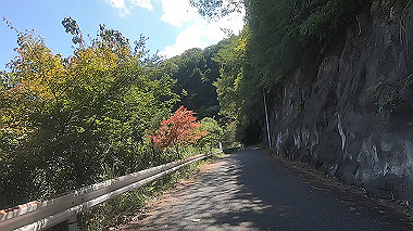 gx016932.mp4_snapshot_03.08_thumb.jpg