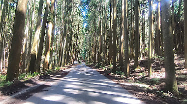 gx016934.mp4_snapshot_00.02_thumb.jpg