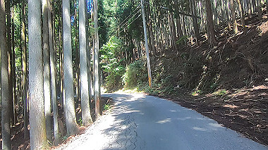 gx016934.mp4_snapshot_01.44_thumb.jpg