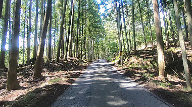 gx016934.mp4_snapshot_01.59_thumb.jpg