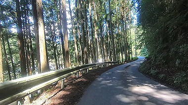 gx016934.mp4_snapshot_02.26_thumb.jpg