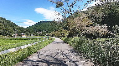 gx016935.mp4_snapshot_00.03_thumb.jpg