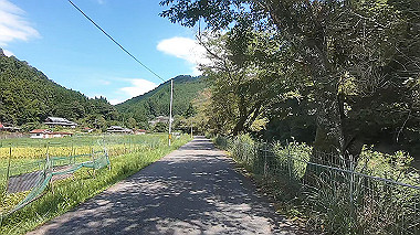 gx016935.mp4_snapshot_00.22_thumb.jpg