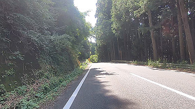 gx016936.mp4_snapshot_00.54_thumb.jpg