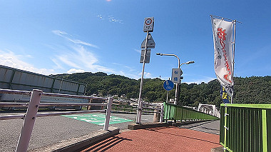 gx016941.mp4_snapshot_00.46_thumb.jpg