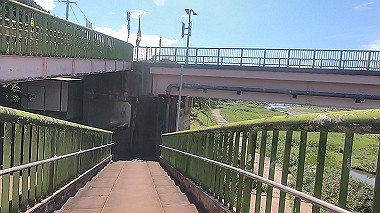 gx016941.mp4_snapshot_01.11_thumb.jpg